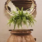 De' Ciompi